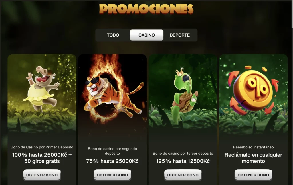 cashwin casino promociones bonus
