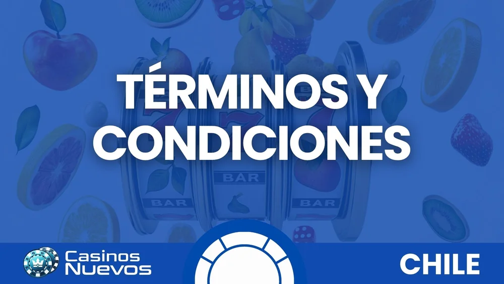 TÉRMINOS Y CONDICIONES